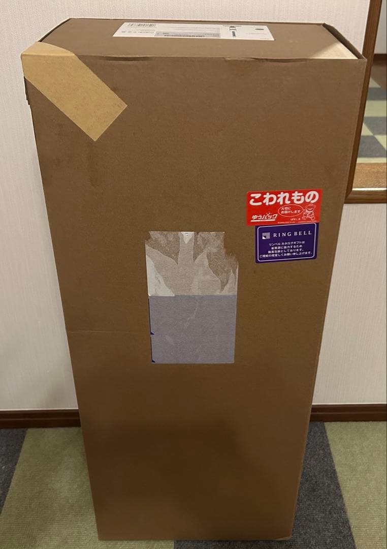 Dyson Wash G1 ダイソン スティッククリーナー 未開封