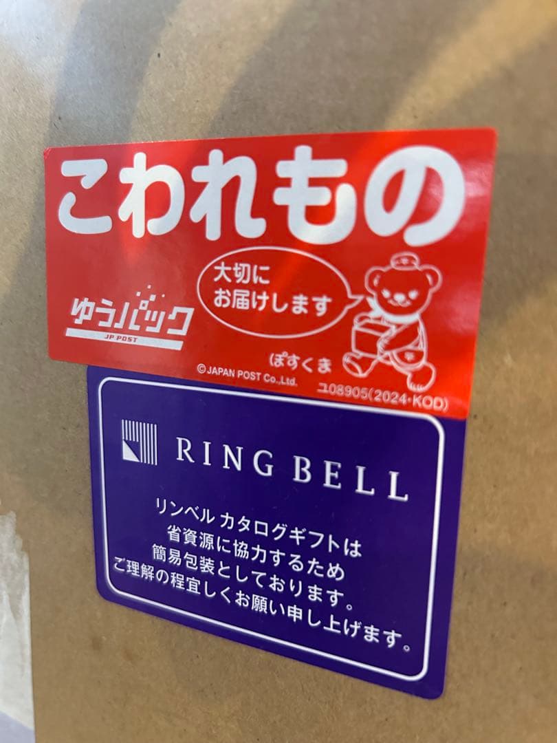 Dyson Wash G1 ダイソン スティッククリーナー 未開封