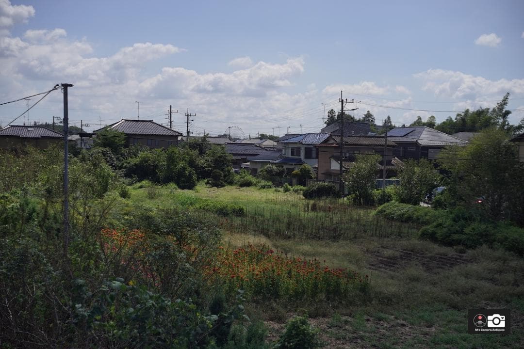 希少Tokyo Opt Simlar 5cm F/3.5 Ｌ３９レンズ整備済