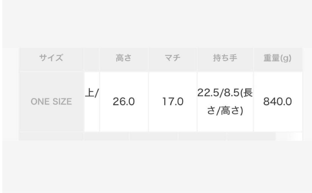 美品！YOUNG&OLSEN エンボスレザー ベルテッド トートバッグ