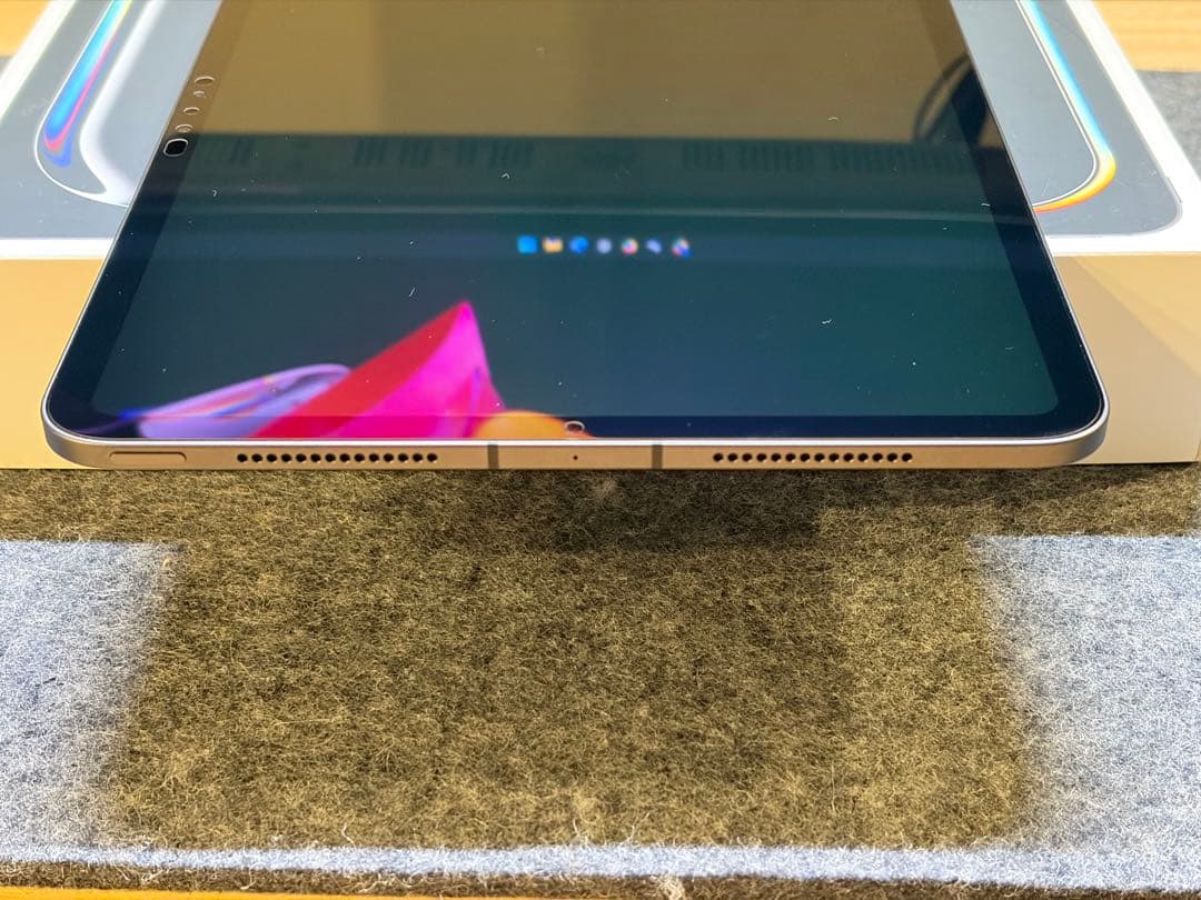 本日限定価格 保証残有 iPad Pro 11 M4 256GBセルラー