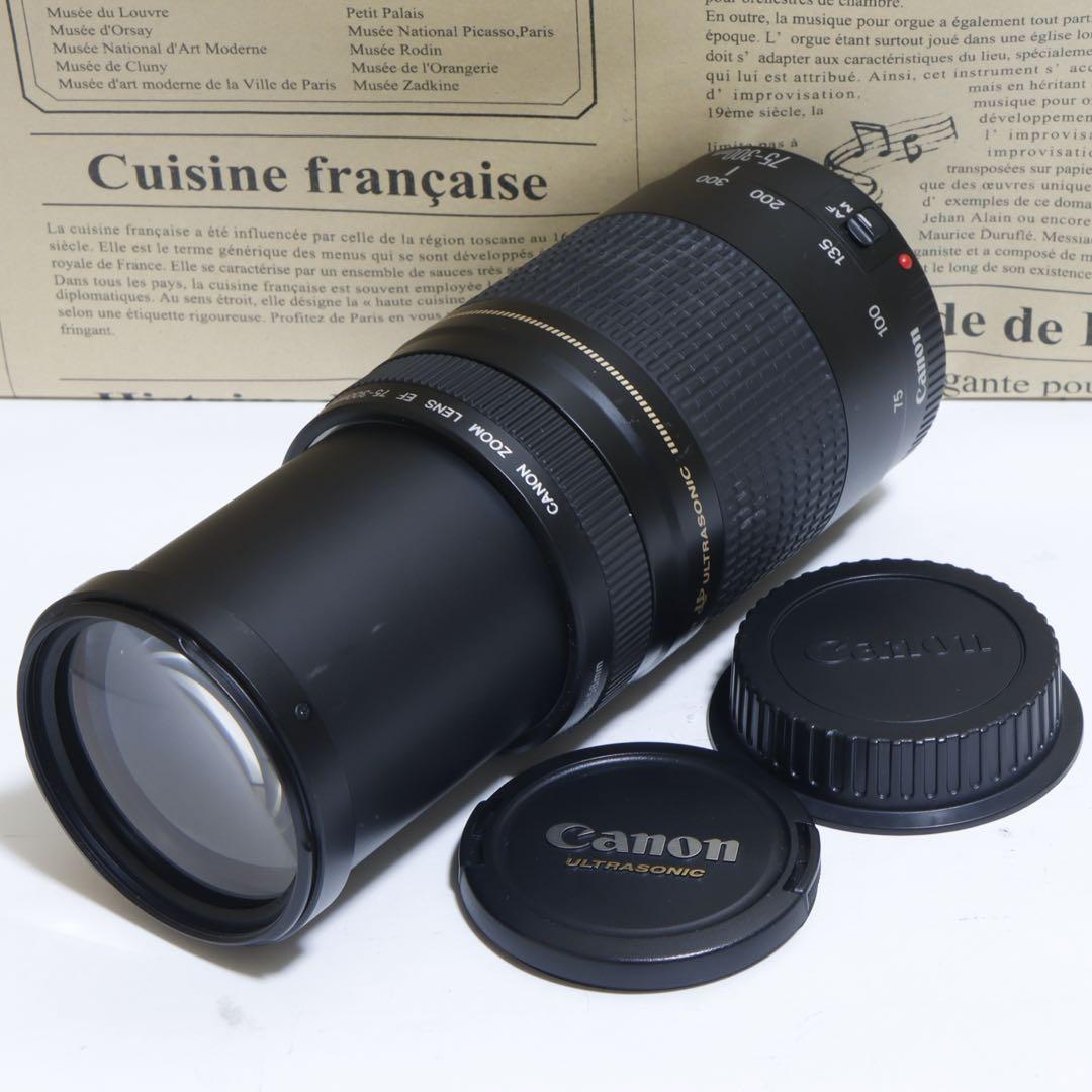 ◇ Kogoro-5565 ◇Canon純正 75-300mm II型 超望遠◇