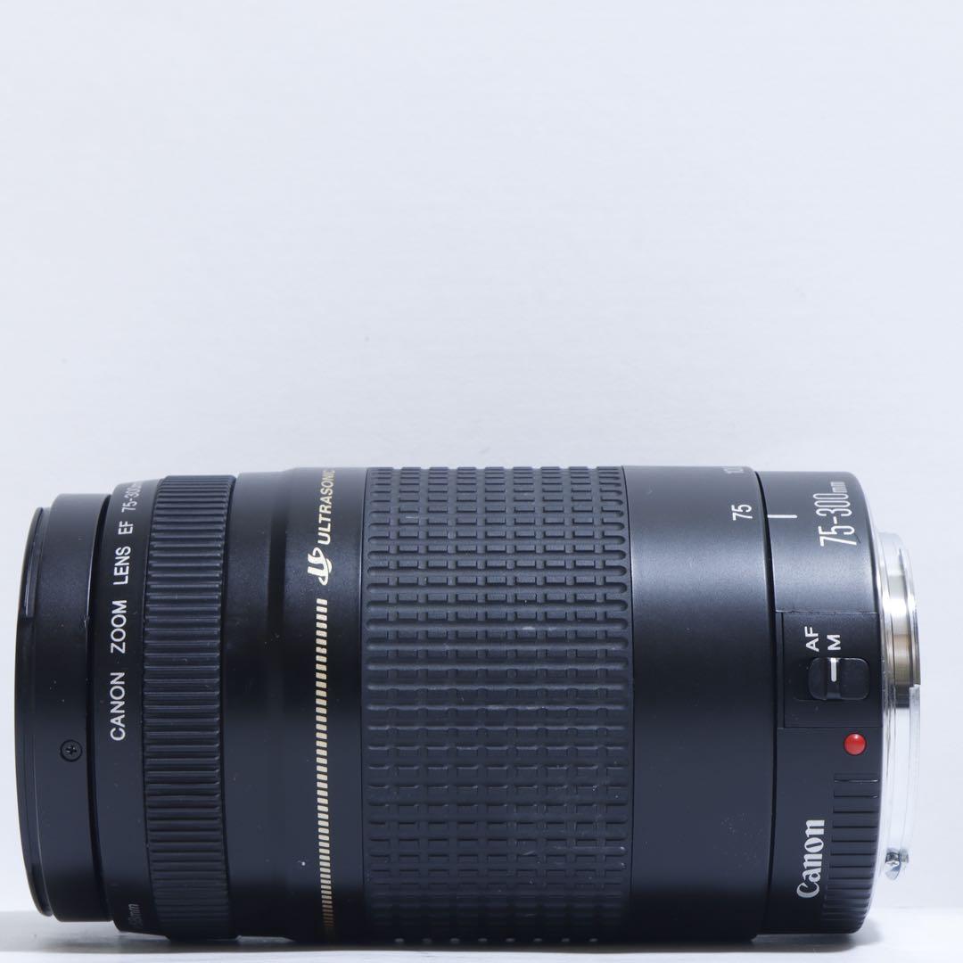 ◇ Kogoro-5565 ◇Canon純正 75-300mm II型 超望遠◇