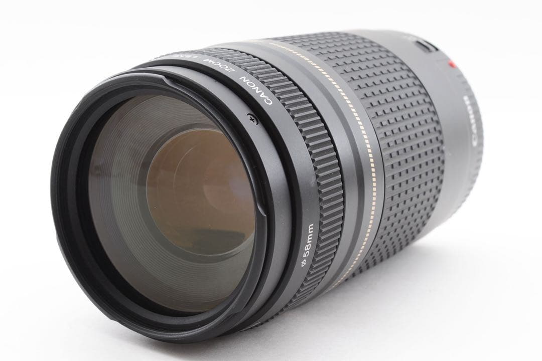 Canon EF 75-300㎜1:4-5.6 Ⅱ / ULTRASONIC