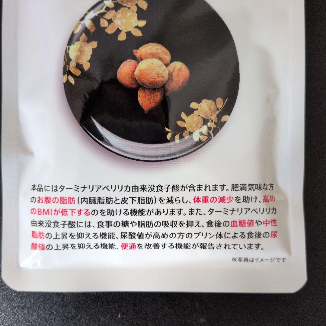 ターミナリアファースト プロフェッショナル5 120粒入り ３袋セット