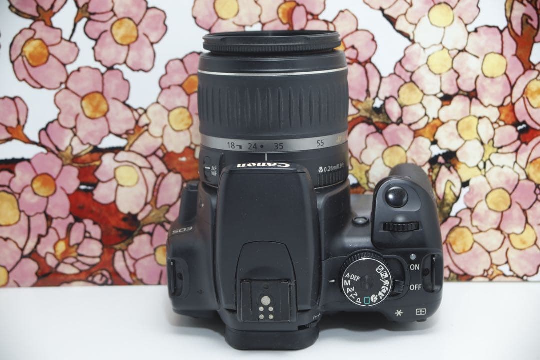 ❤️お小遣いで買える❤️Canon キヤノン EOS kiss Xレンズセット❤️