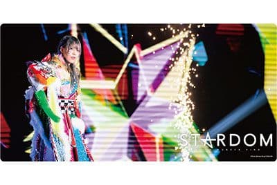 STARDOM ラバーマットコレクション&スリーブ 13点セット