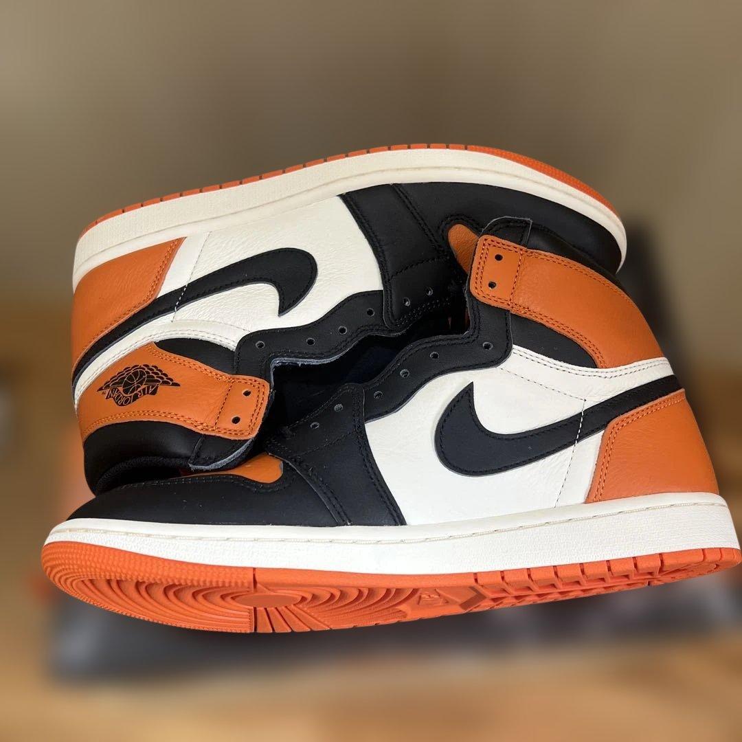Air Jordan 1 Shattered Backboard シャタバ　28
