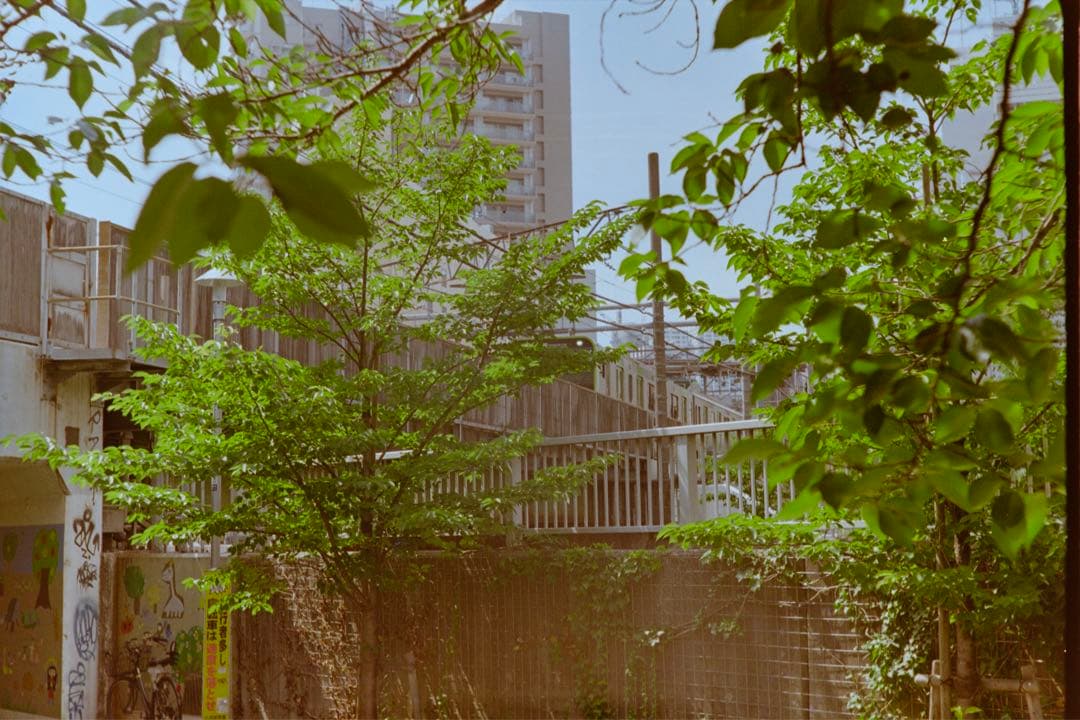 FED2 ソ連製フィルムカメラ