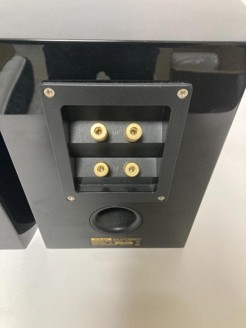 TEACスピーカー　S-300Neo　スピーカ　ティアック　ブラック