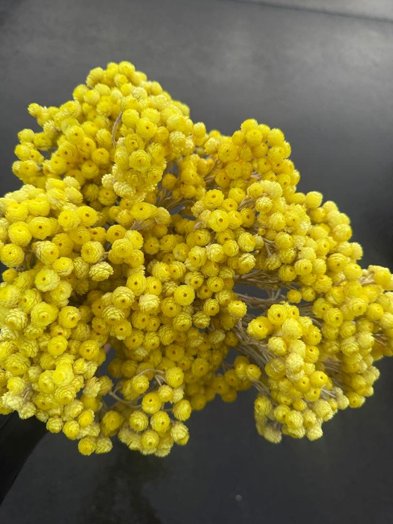 supicachiho様 リクエスト 4点 まとめ商品