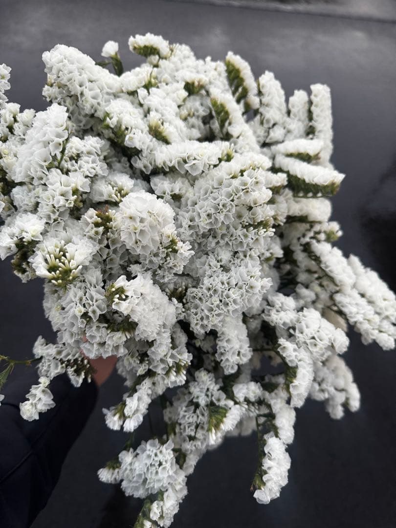 supicachiho様 リクエスト 4点 まとめ商品