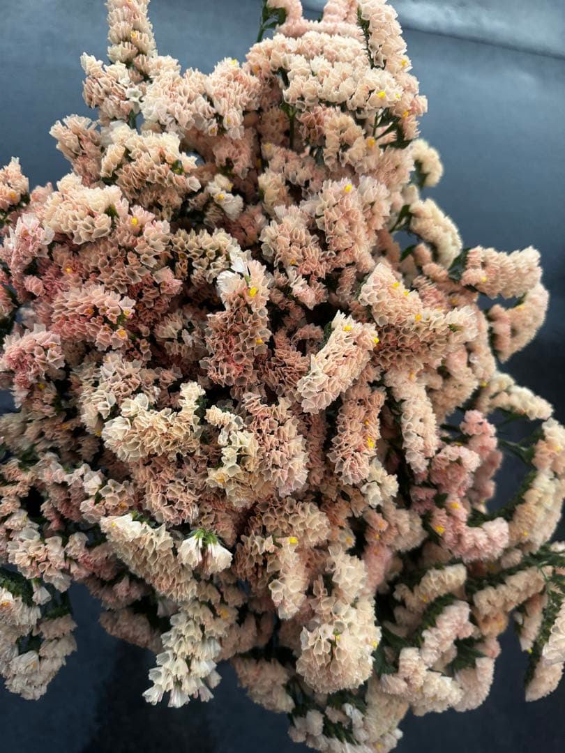 supicachiho様 リクエスト 4点 まとめ商品