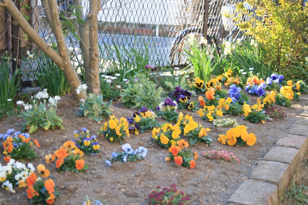 実写美⭕️【動作確認済み】Canon DS126151 一眼レフカメラ レンズ付