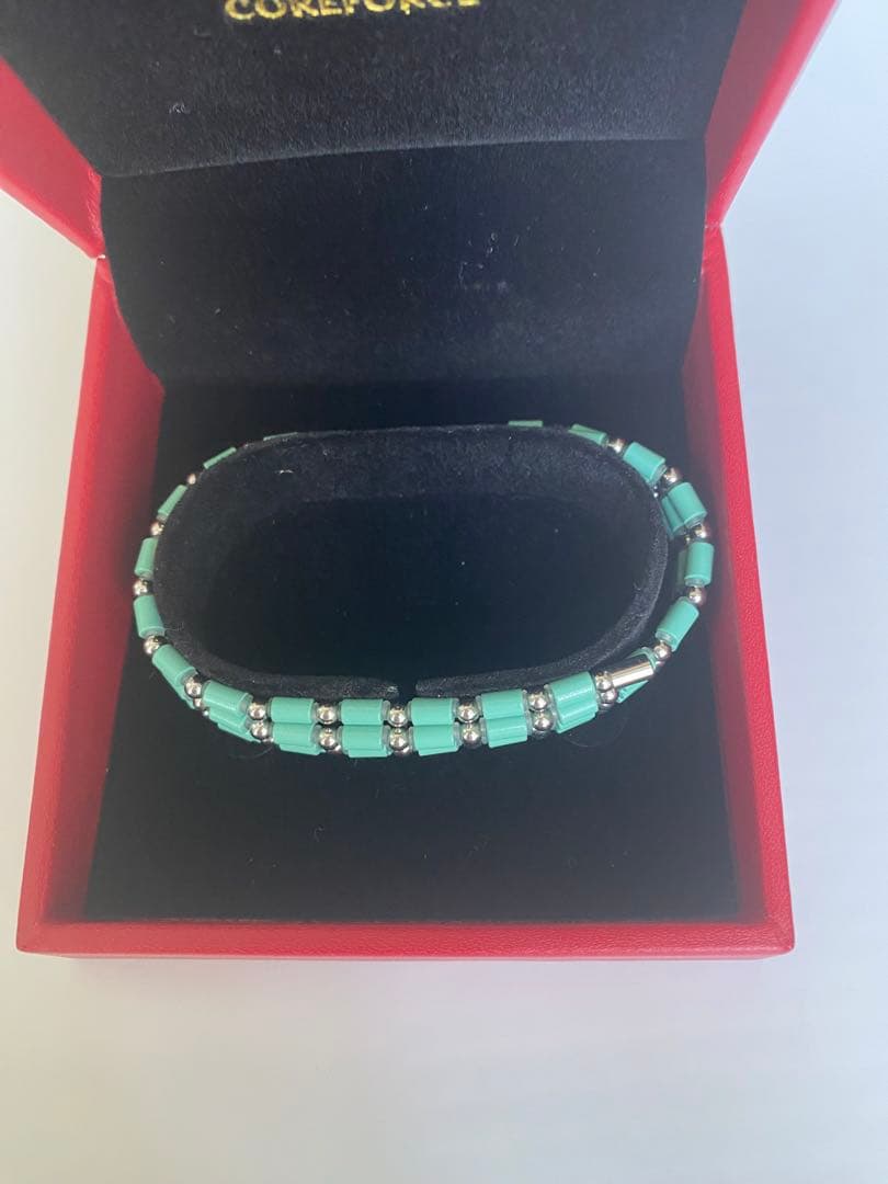 COREFORCE MARINE SUS 70cm（コアフォース マリン ）