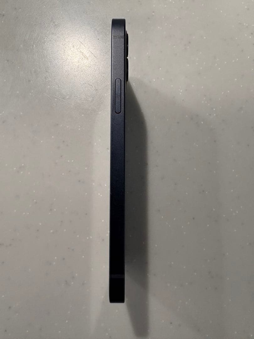 Apple iPhone 12 ブラック 256GB本体