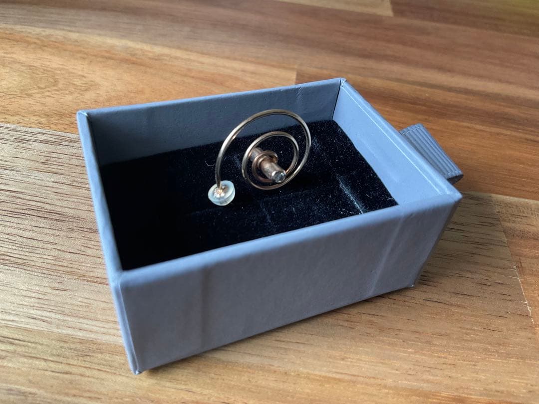 Hirotaka Industoria coil ピアス