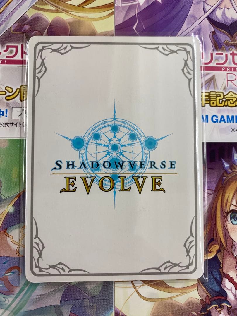 ［プリンセスフォーム］レイ リーダー 1枚