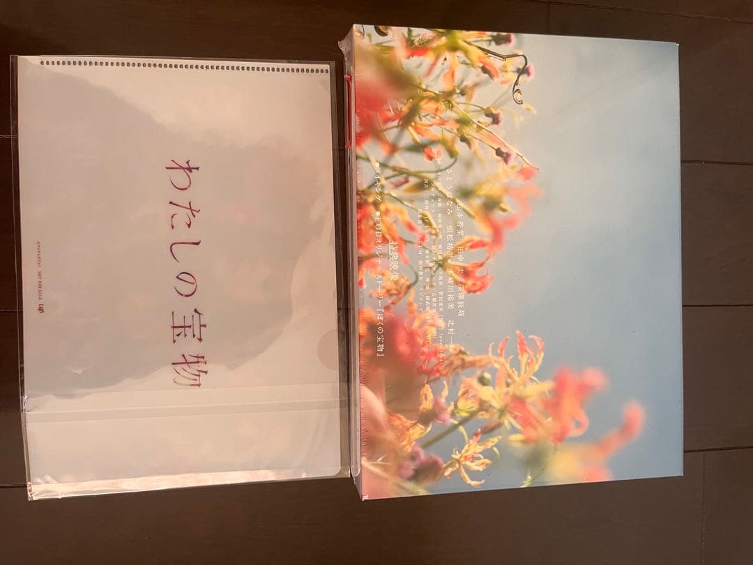 【新品未開封】【即購入⭕️】わたしの宝物 Blu-rayクリアファイル付き