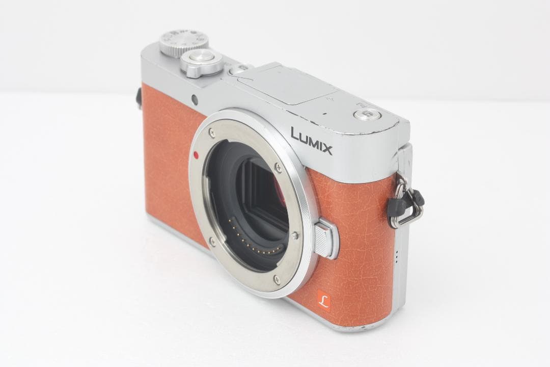 Panasonic LUMIX DC-GF9 ボディ 完動品 #332a