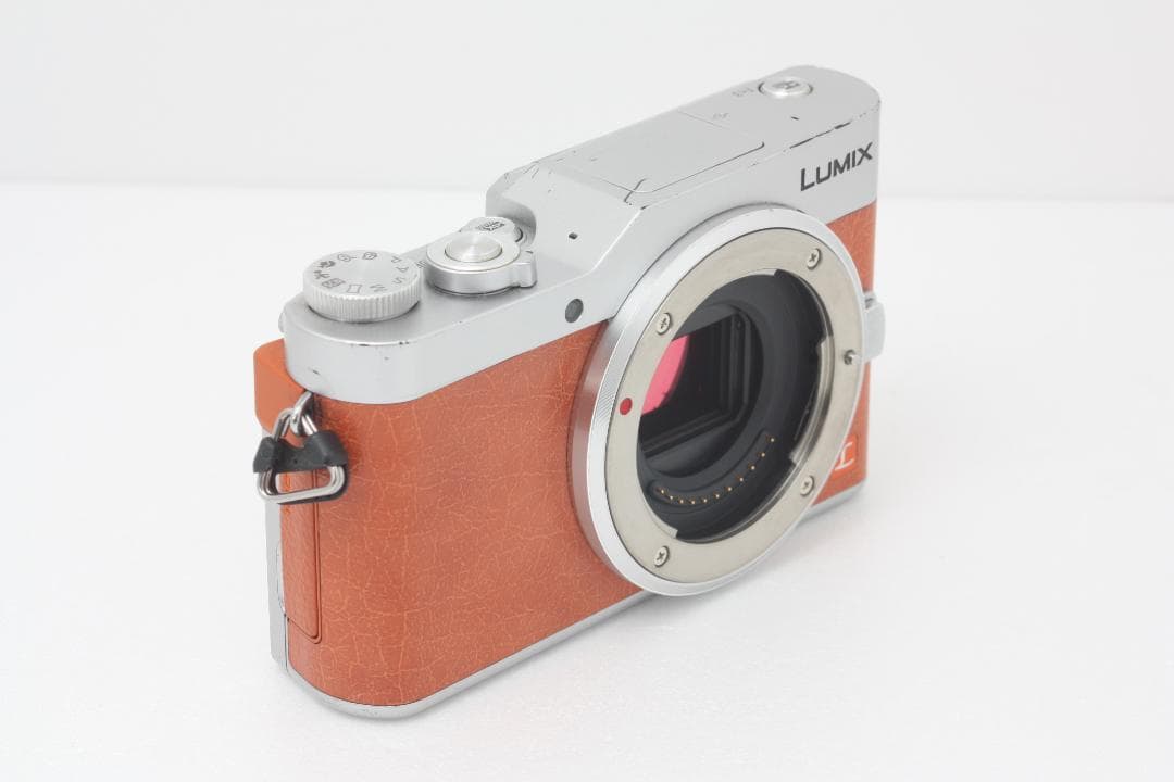 Panasonic LUMIX DC-GF9 ボディ 完動品 #332a
