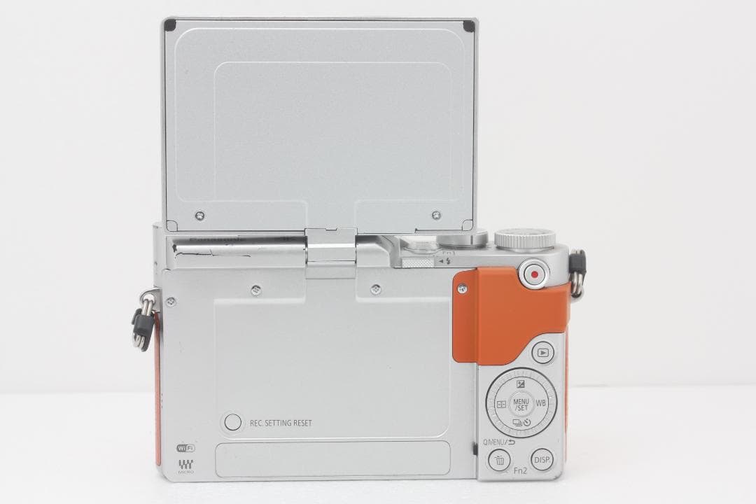 Panasonic LUMIX DC-GF9 ボディ 完動品 #332a