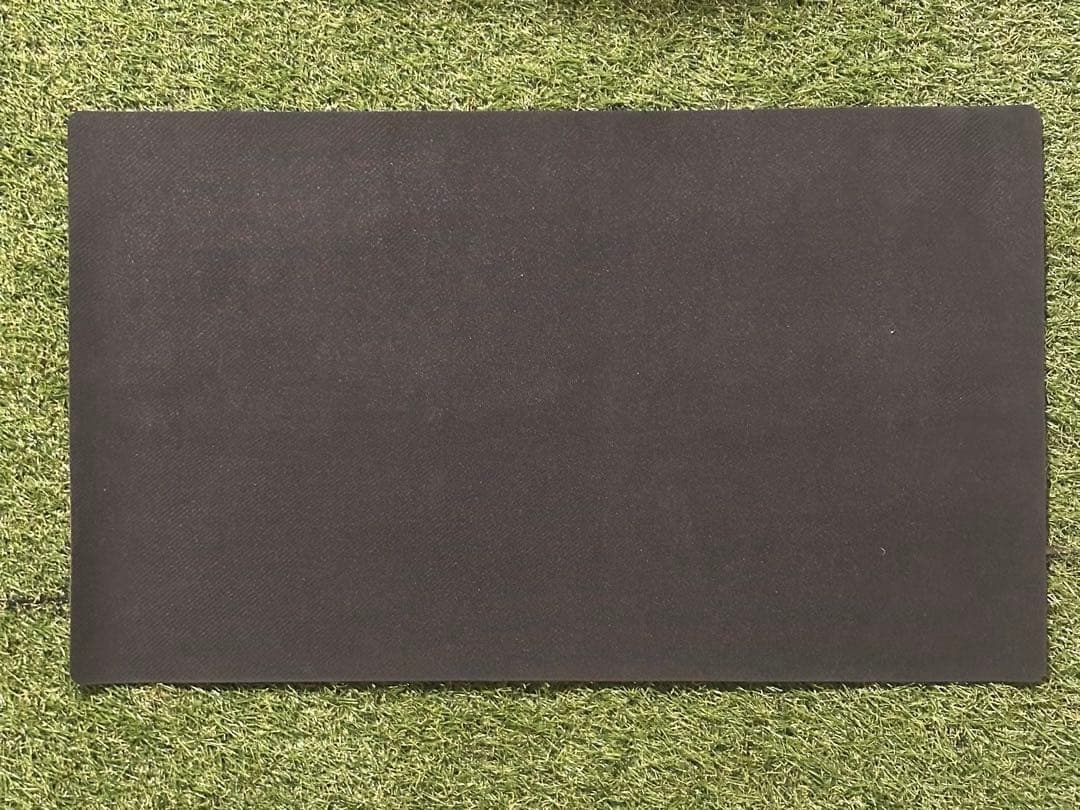 ラスト在庫　REGIONAL ヒビキのホウオウ Champion 公式プレマ