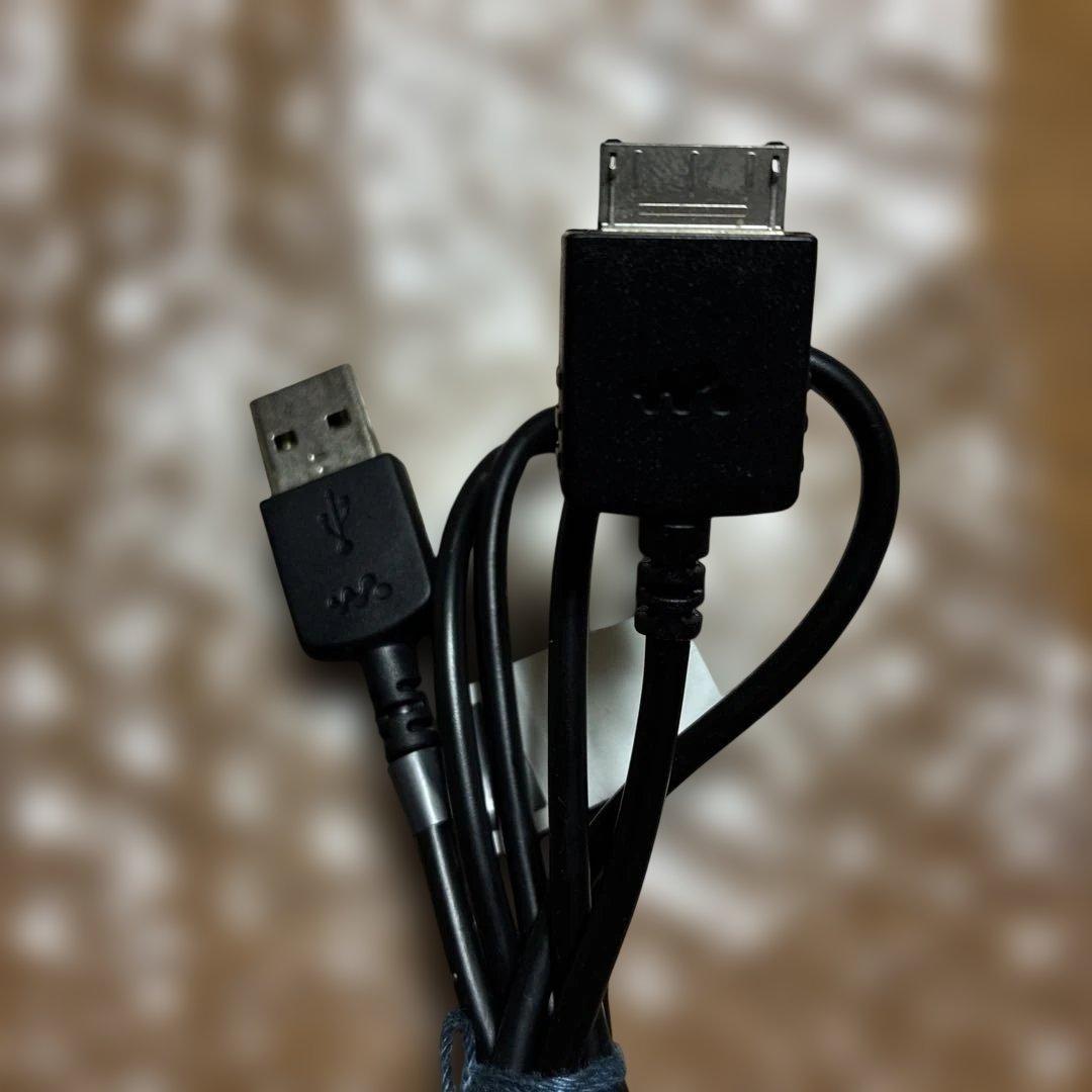 ポータブルプレーヤー SONY NW-A36