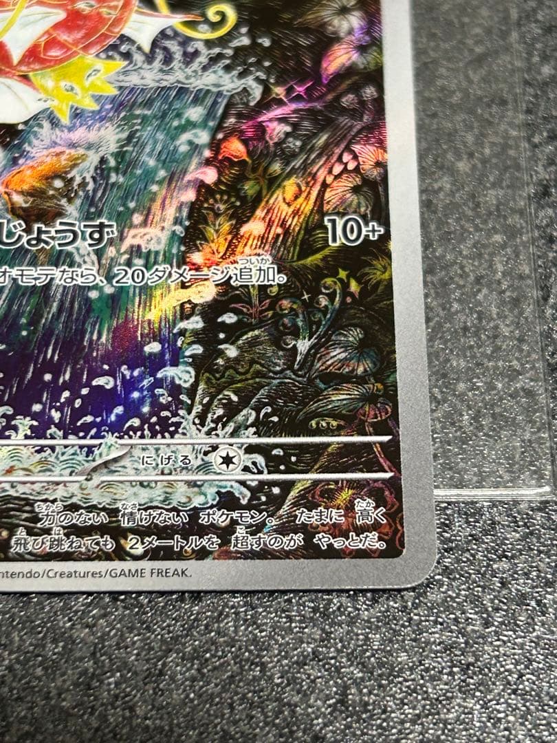 ポケモンカード　コイキング AR