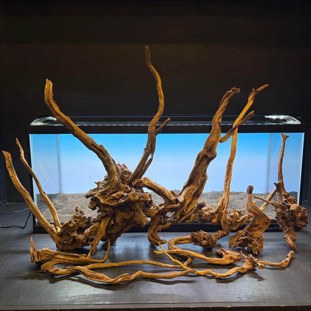 MSRW-7080 天然流木レイアウトセット　スリムウッド　アクアリウム