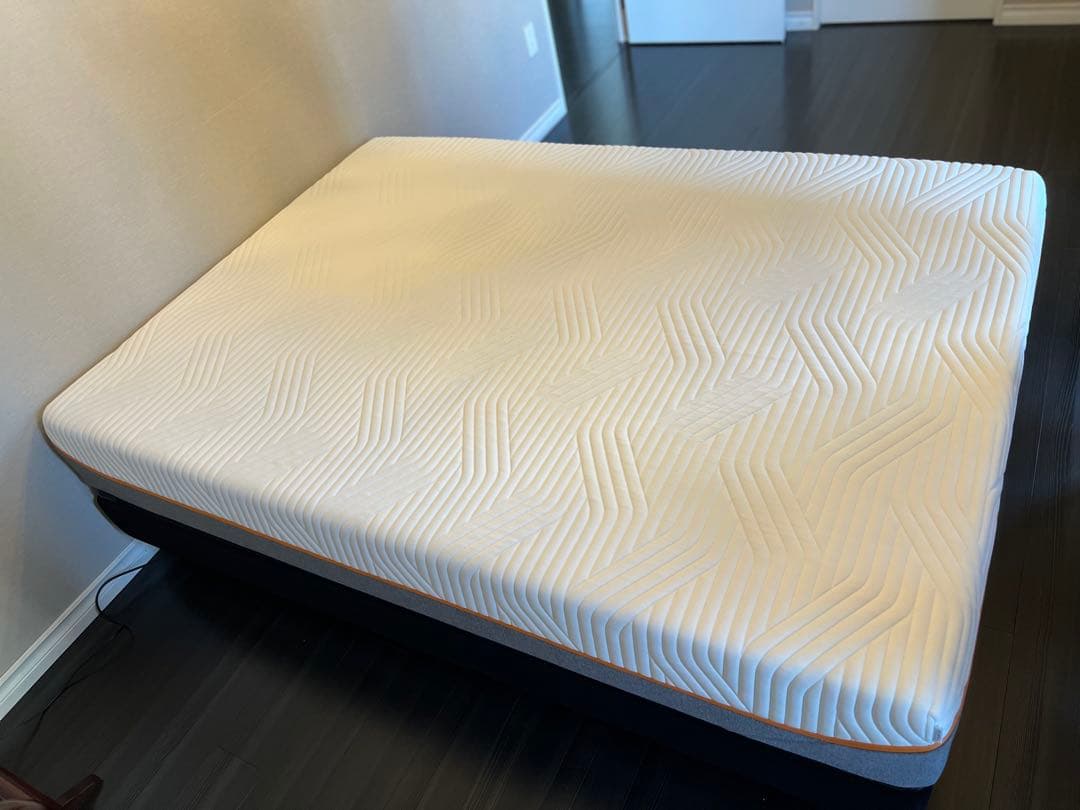 テンピュールZero-Gカーヴとオリジナルリュクス25セット② (要①もご購入)