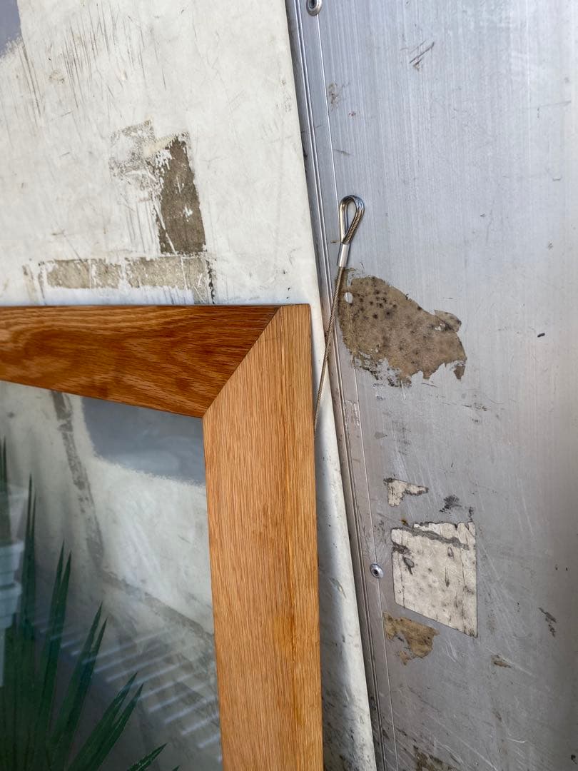 【希少＊限定品】jardin pamplemousse 植物アート 木製フレーム