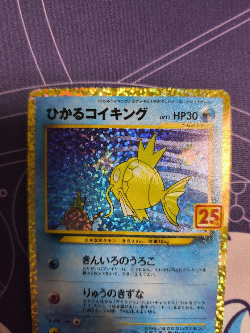 ひかるコイキング 25th