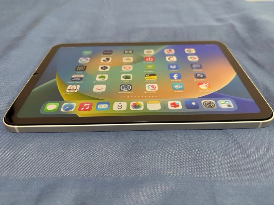 美品　iPad mini(第6世代) Cellular 256GB スターライト