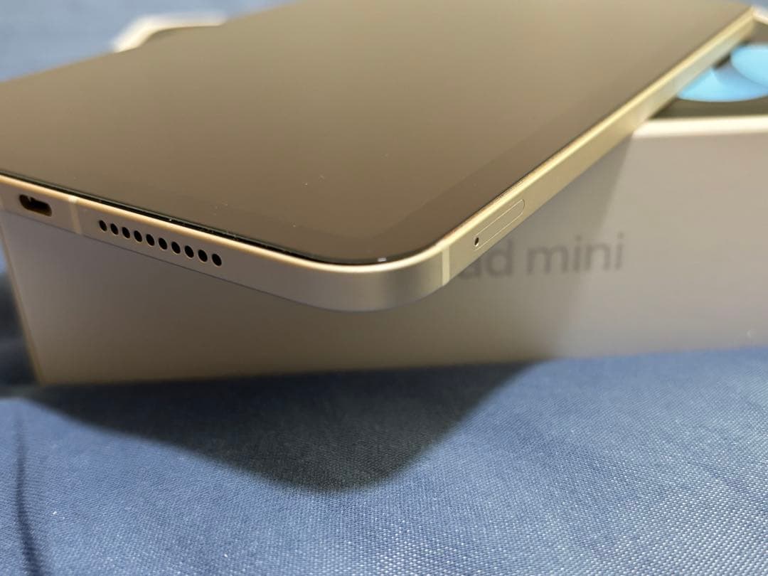 美品　iPad mini(第6世代) Cellular 256GB スターライト
