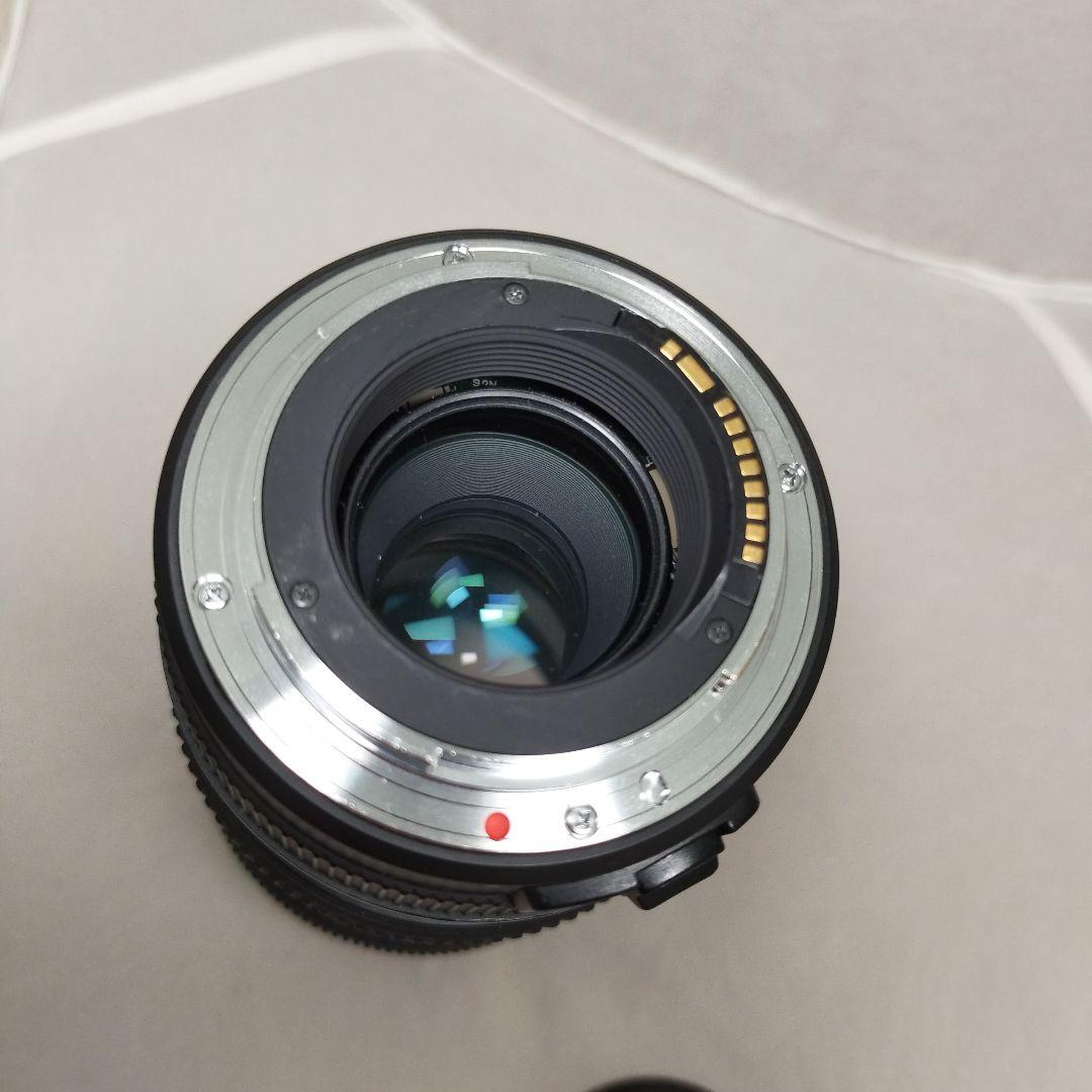 SIGMA ズームレンズ 70-200mm f/2.8