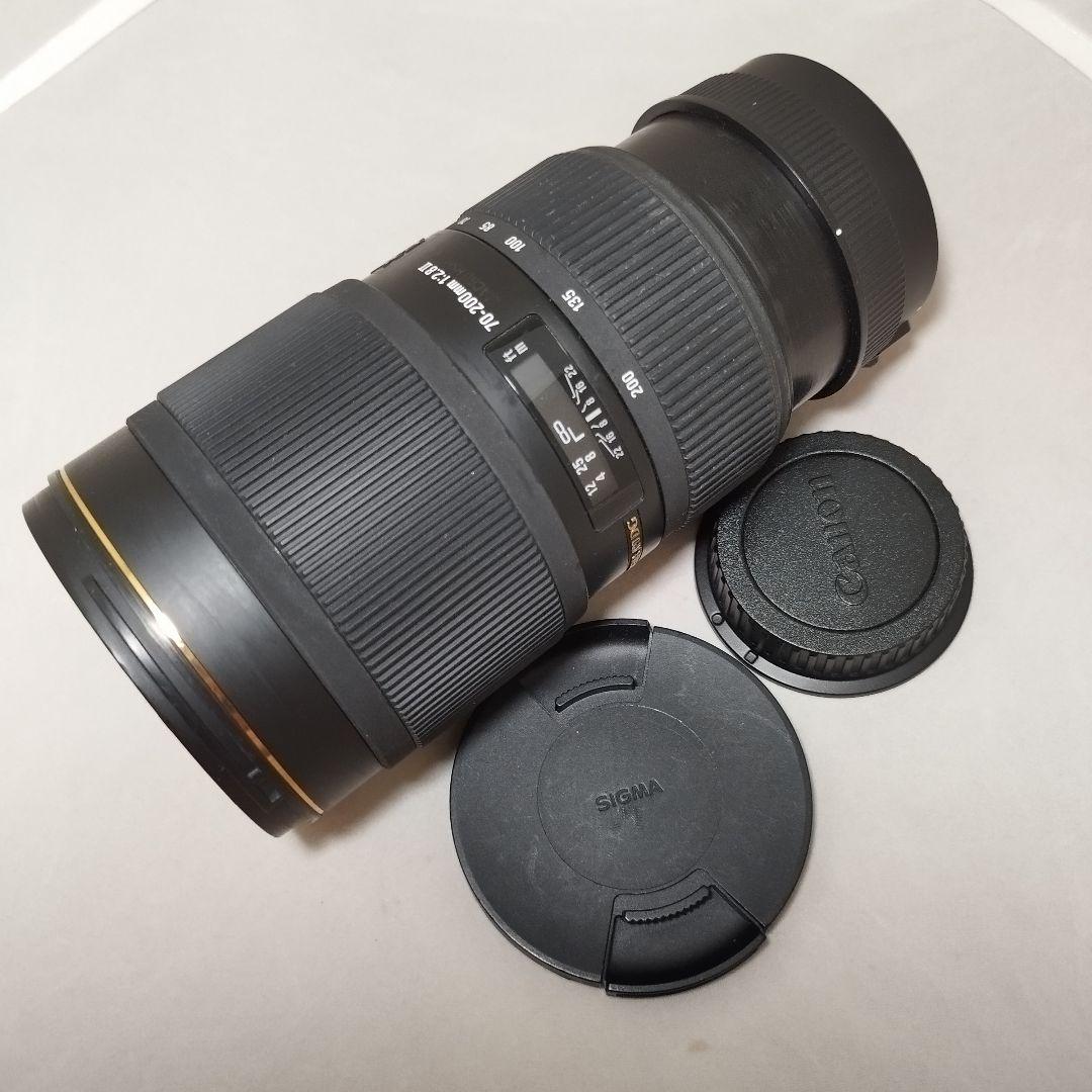 SIGMA ズームレンズ 70-200mm f/2.8