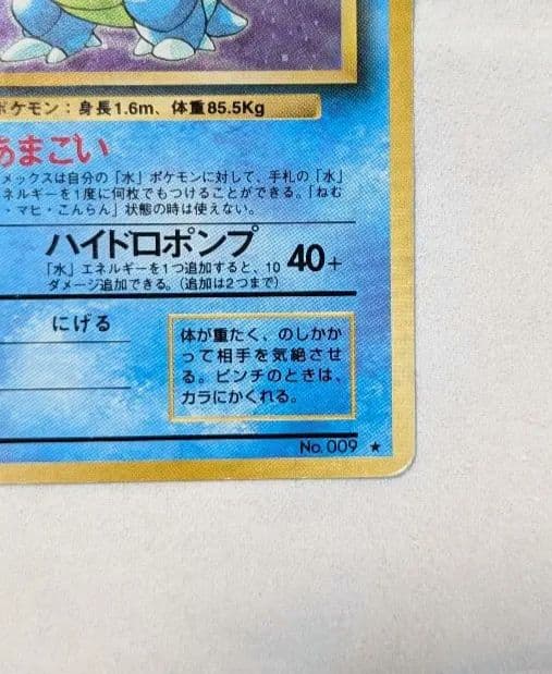 【希少】旧裏 カメックス 2枚セット ★あり 初期版 あまごい 御三家