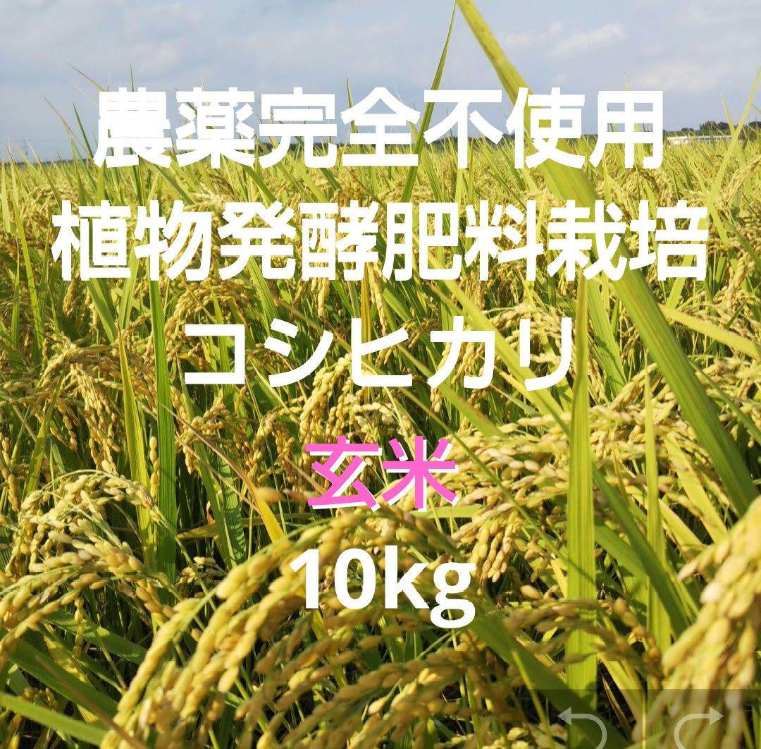 農薬完全不使用/植物発酵肥料コシヒカリ 玄米10kg