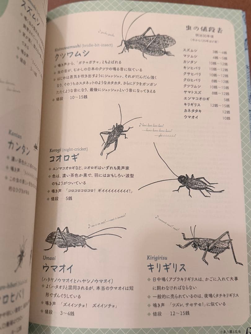 渋*７様 『虫の詩 かそけきものの声音を愛す』小泉八雲