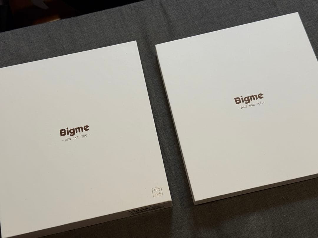 Bigme inkNote X Color+ RAM8GB 大画面カラー10.3