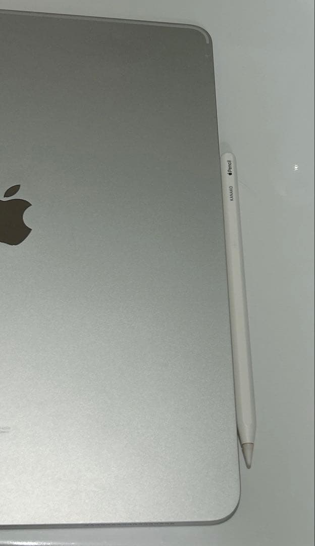 iPad Pro 12.9インチ 第4世代 256GB