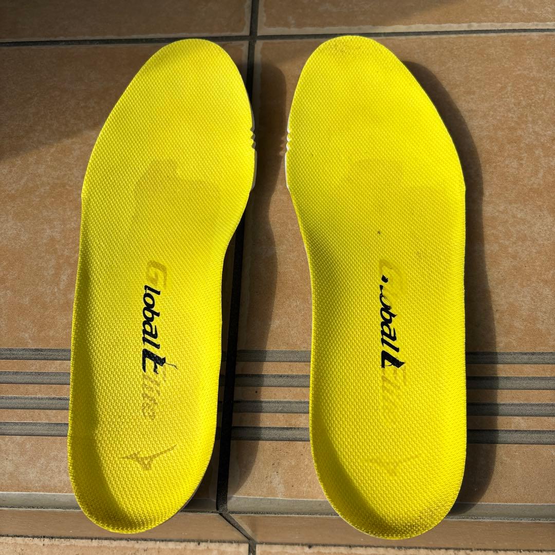 たかやなぎ　Mizuno Pro ミズノプロ　トレーニングシューズ　27㎝