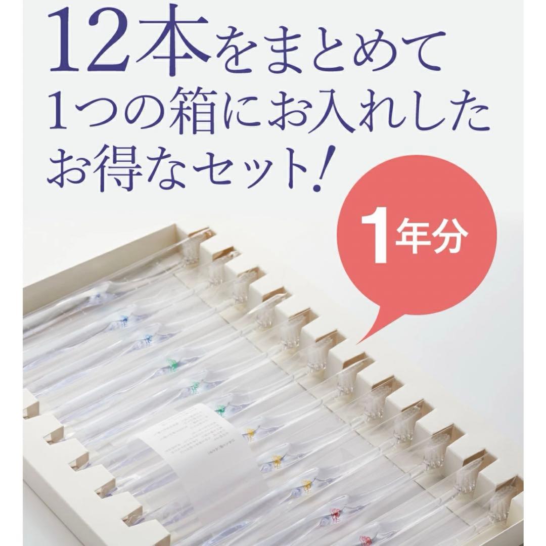MISOKA 歯ブラシ12本セット　1年分