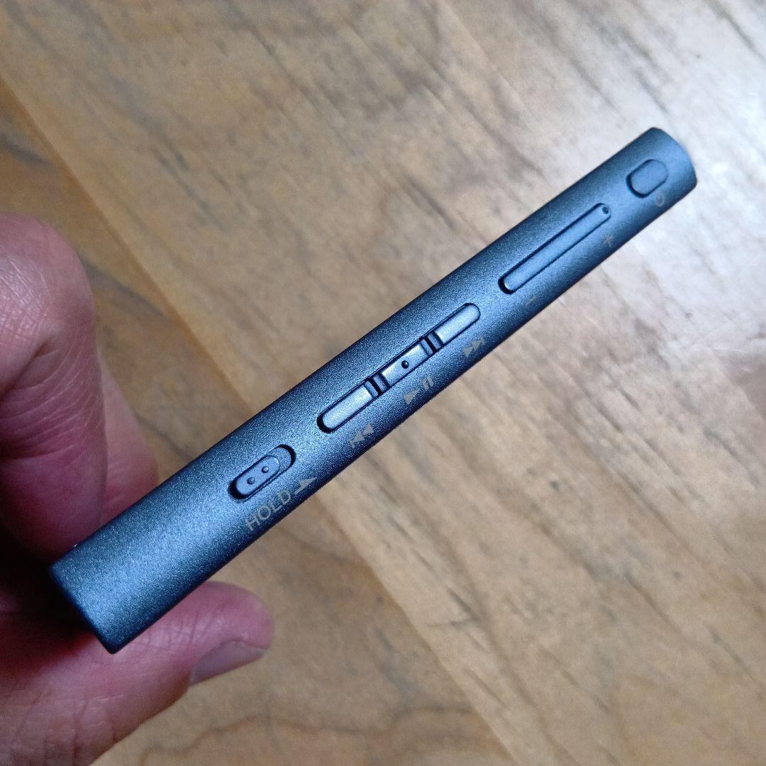 p*o様 SONYウォークマンNW-A45 16GB