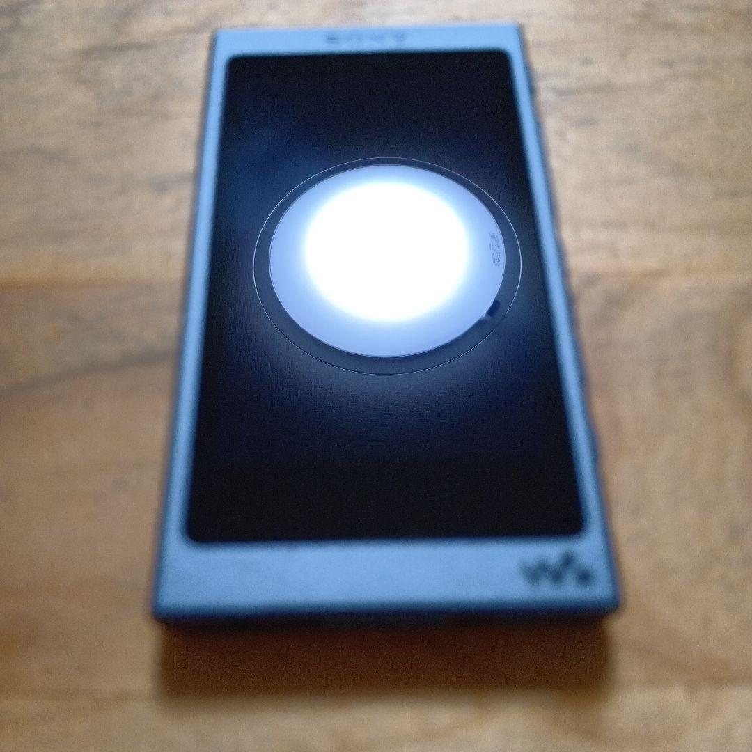 p*o様 SONYウォークマンNW-A45 16GB