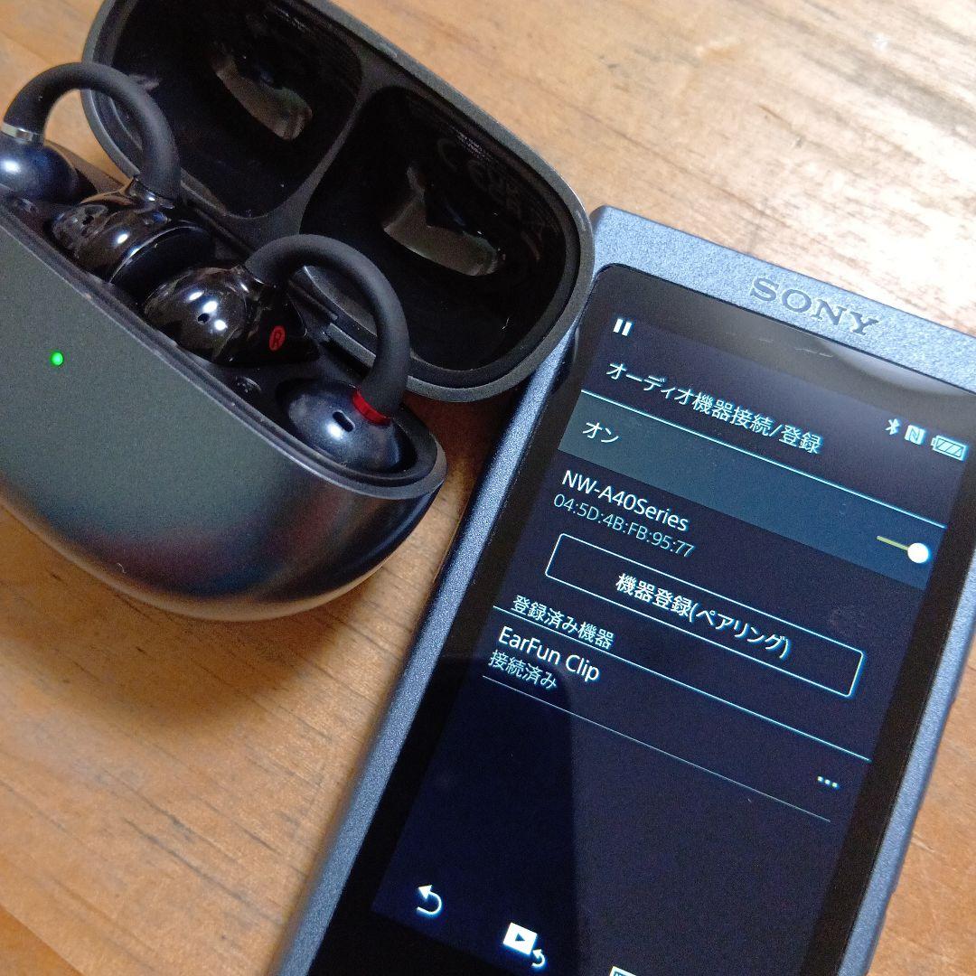 p*o様 SONYウォークマンNW-A45 16GB