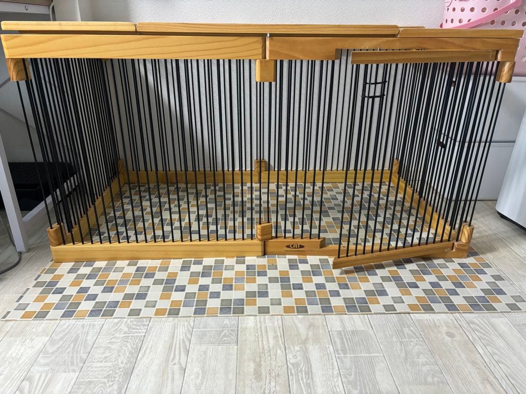 メディカル60フェレット