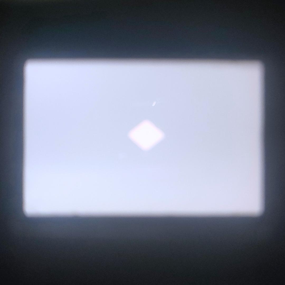 Voigtlander VITESSA ULTRON 50mm F2 ケース付き