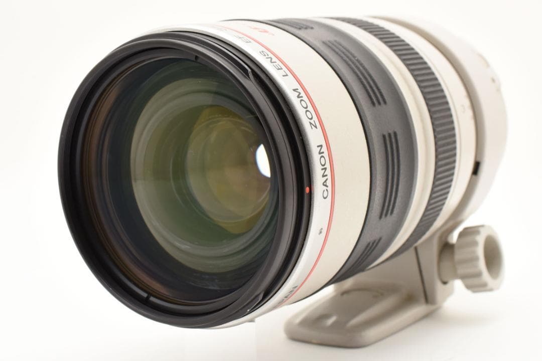Canon EF 35-350mm F3.5-5.6 L USM ズームレンズ